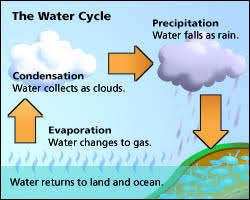 Image result for water cycle