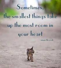 quotes on Pinterest | Good Morning, Good Afternoon and Good Night via Relatably.com