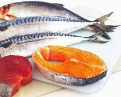 Fatty fish, such as salmon, sardines, mackerel, and tuna