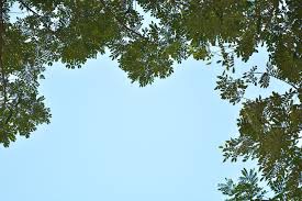 Curitiba deve ter um dia com sol entre poucas nuvens nesta quinta-feira (22)