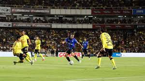 Gallos Blancos quiere seguir con paso ganador