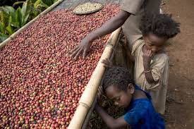 Image result for Ethiopia