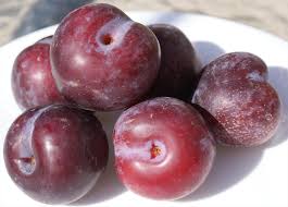 Image result for early transparent gage