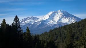 Shasta-Trinity National Forest Hostage Crisis: How a Routine Patrol Turned Into a 15-Hour Nightmare for US Forest Service Workers