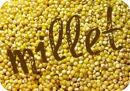 Image result for MILLET