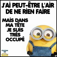 Résultat de recherche d'images pour "citation humoristique minion"
