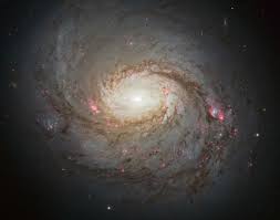 Image result for Messier 63
