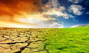Resultado de imagem para mudanças climaticas e suas consequencias