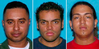 Wilfredo Berrios, Efrain Lynn and Francisco Herrera-Genao, all in their 20s and from New Brunswick, were not charged in connection with Bush&#39;s death outside ... - large_robbers