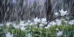 தமிழகத்தில் கனமழை… வானிலை அலர்ட்! Heavy rains in Tamil Nadu
