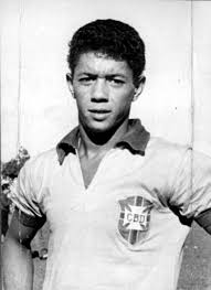 Resultado de imagem para amarildo jogador