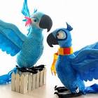 Rio 2 parrots <?=substr(md5('https://encrypted-tbn2.gstatic.com/images?q=tbn:ANd9GcQE4D-l6u_BndHuYb4FZrfO85hM_YPThGuNFfcaeqQIwiBSfmmif2j7qZUwiw'), 0, 7); ?>