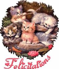 Résultat de recherche d'images pour "félicitations"