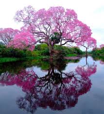 Image result for pictures gallery for amazing places of the world