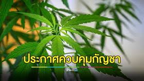 LINE TODAY - News update