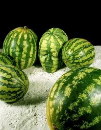 images?q=tbn:ANd9GcQEDRG6IuJArGxFX2NBUJY_joSDV2fM1NbIUDNLXGDiT_QPqJRU