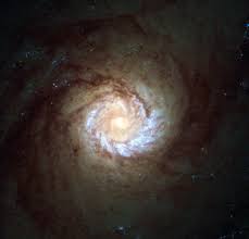 Image result for NGC 4579 Galaxy