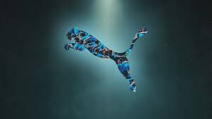 About PUMA - News update