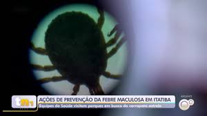 Itatiba intensifica ações de prevenção contra a febre maculosa em parques e áreas de risco