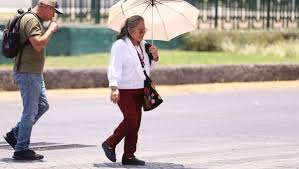 Milenio - News update