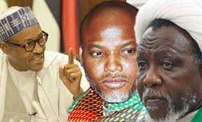 Image result for picture of Nnamdi Kalu and El-zakzaky