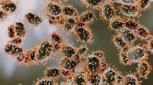 News source: Global News