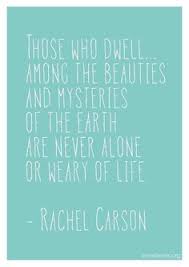 Rachel Carson on Pinterest | Writers, Spring and Environment via Relatably.com