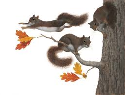 Image result for the busy tree