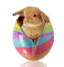 Résultat de recherche d'images pour "bon week end de paques"