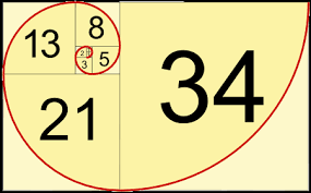 Image result for fibonacci