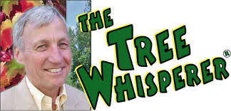 Jim Tree Whisperer Logo - JimTheTreeWhispererLogoL