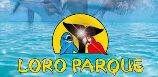 Resultado de imagen de imagenes de loro parque