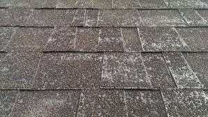 Image result for asphalt shingle problems