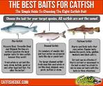 Best fishing bait for catfish