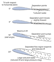 英和画像辞典：(wing profile)の関連画像一覧！