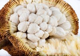 Image result for Harley Johnstone, AKA Durianrider