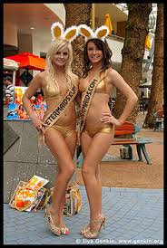 Image result for Gold coast meter maids