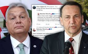 WP Wiadomości - News update
