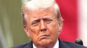 The Daily Beast - News update