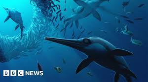 BBC - News update