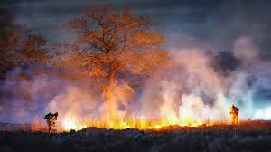 Ook korte tijd natuurbrand op militair oefenterrein in Assen, NL-alert verstuurd
