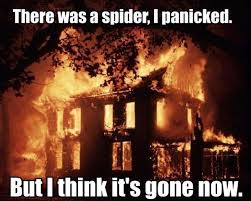 Scared of Spiders There was a spider, I used to... via Relatably.com