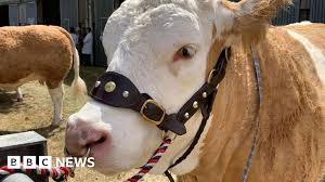 BBC - News update