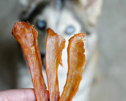 homemade chicken jerky for dogsの画像