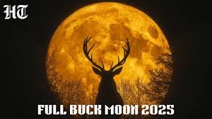 Buck Moon Alert! Best Time to See the Spectacular July Full Moon in SA