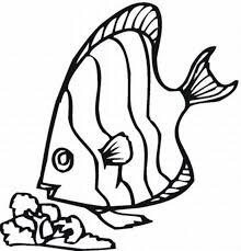 fish coloring pages ile ilgili görsel sonucu