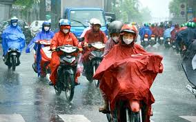 Báo Người Lao Động - News update