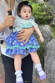 뉴시스 - News update