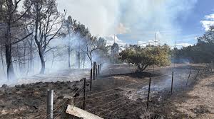 Fire crews responding to quickly spreading grass fire in Uralla