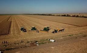 ¡De Empleado a Gigante Agro! El Secreto del Cordobés Exitoso